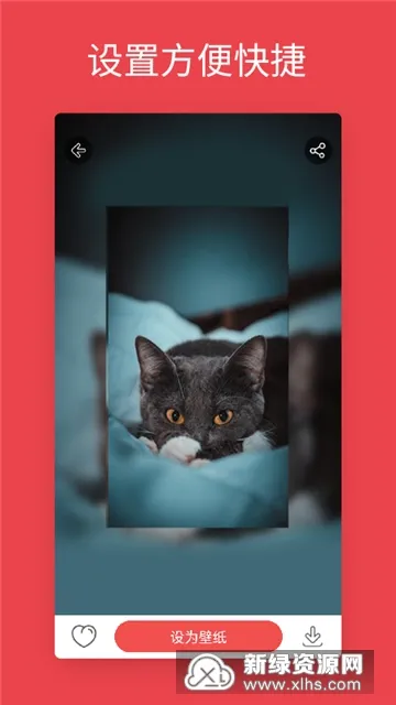 ��׿��̬��ֽ(���嶯̬��ֽ)